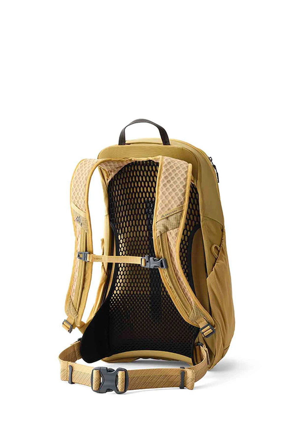 Gregory ARRIO 20 RC Backpack
