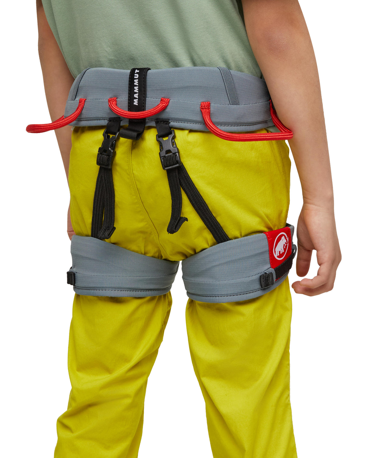 Children's harness Mammut Ophir Kids