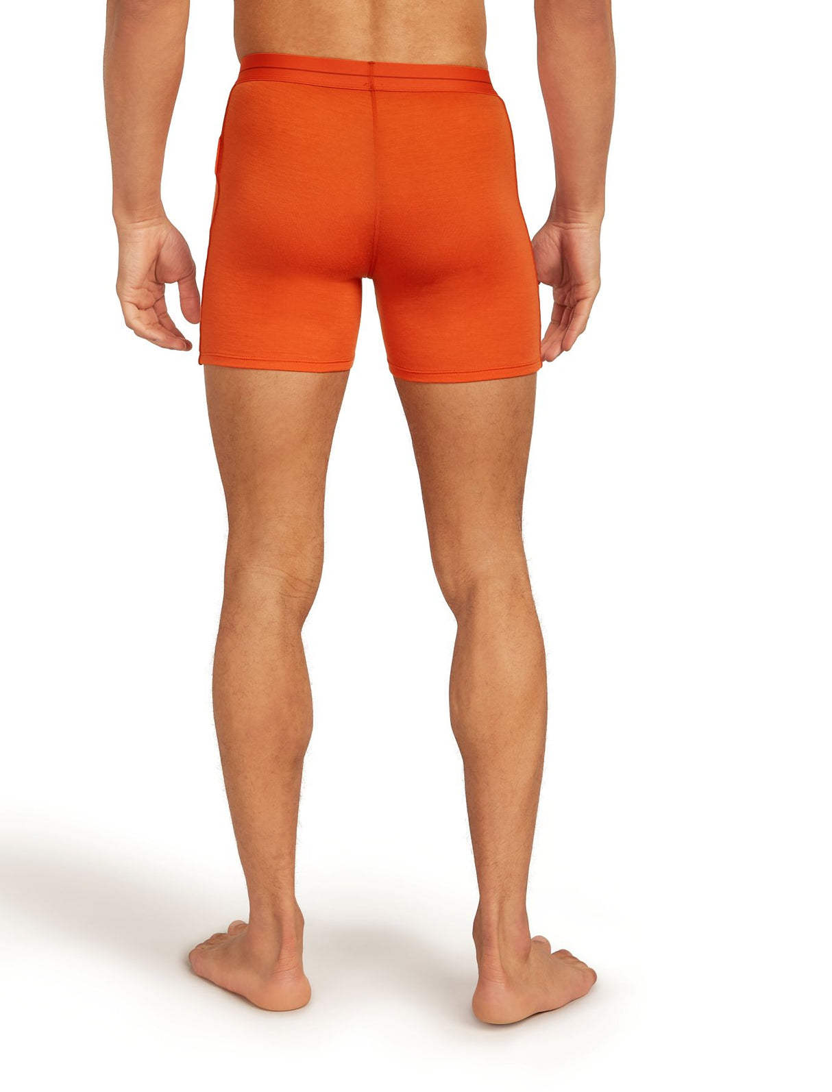 Merino underwear Anatomica Boxers Men's