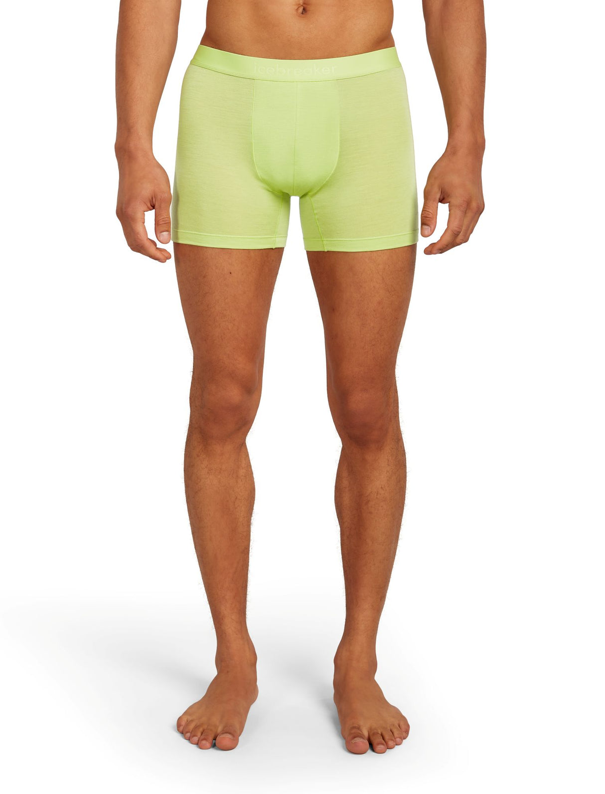 Icebreaker Anatomica Cool-Lite Merino Boxer Men's