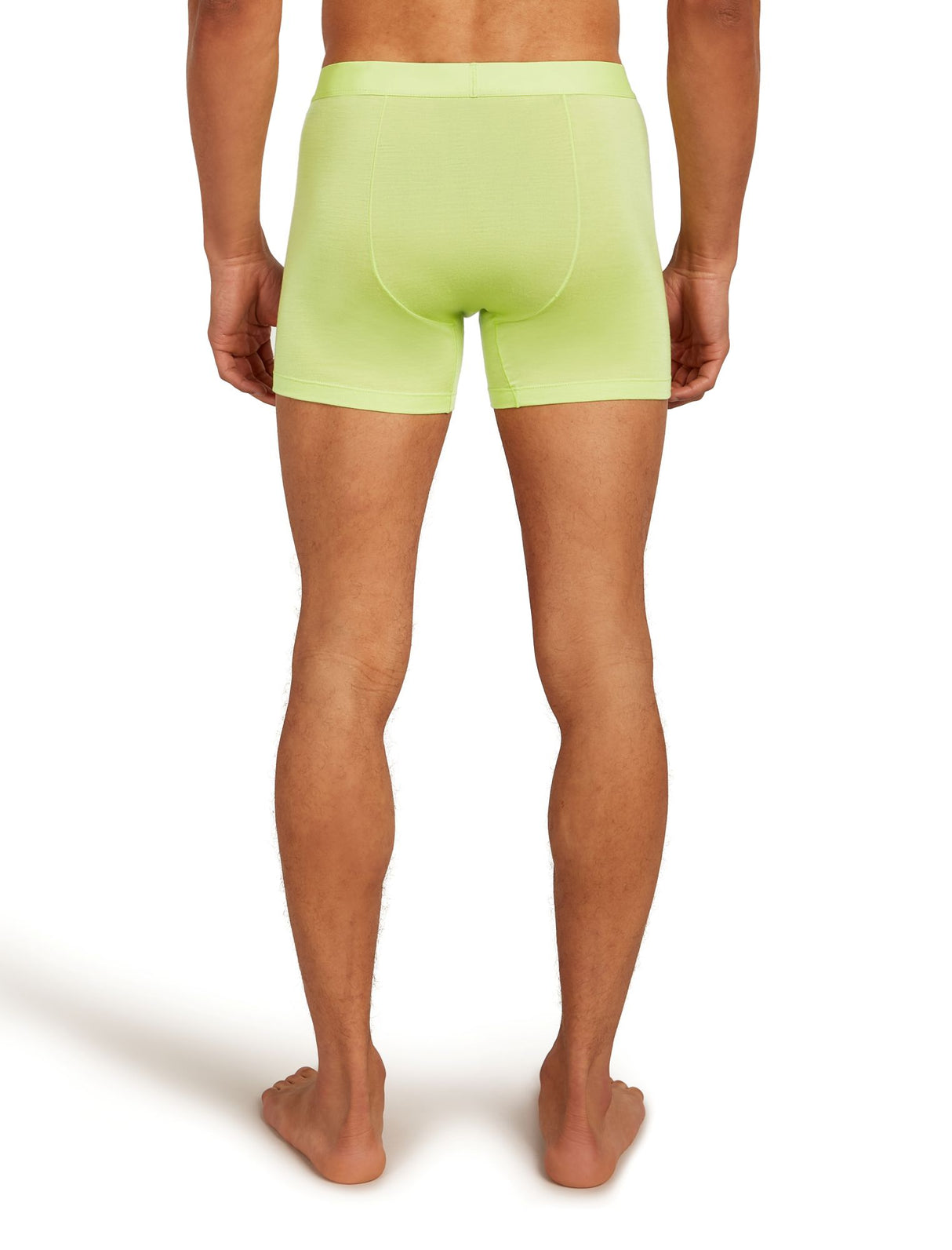 Icebreaker Anatomica Cool-Lite Merino Boxer Men's