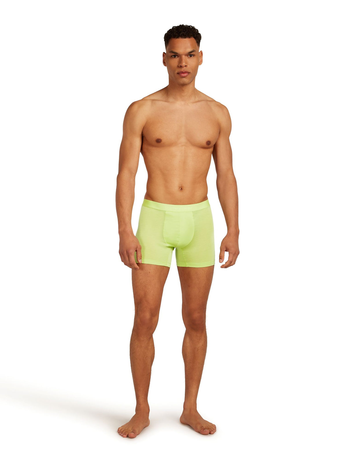Icebreaker Anatomica Cool-Lite Merino Boxer Men's