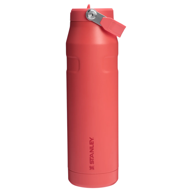 Stanley The IceFlow Bottle Flip Straw 2.0