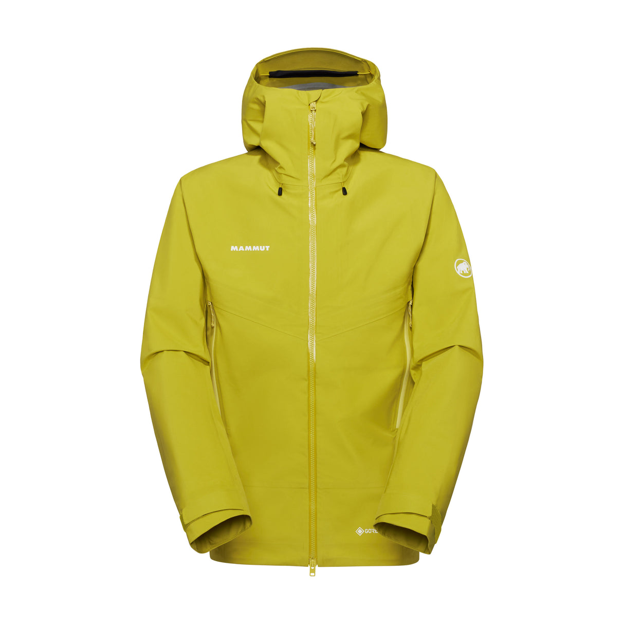 Mammut Crater IV HS Hooded Hardshell jacket Men's