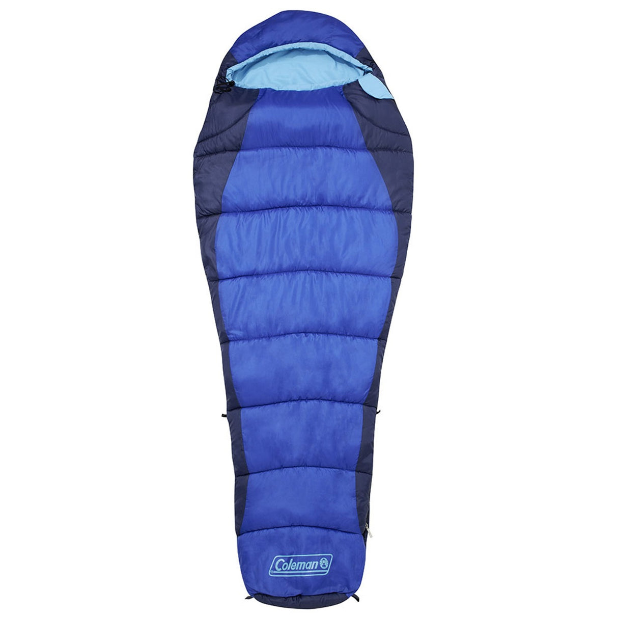 Guļammaiss Coleman Fision 100