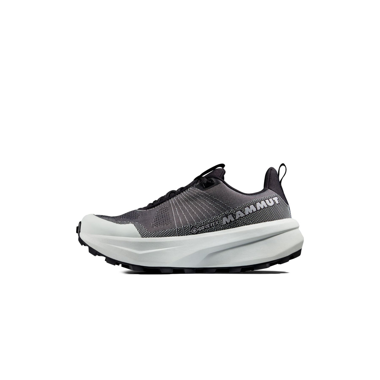 Mammut shoes Aenergy Mtn Low Gore-Tex women's