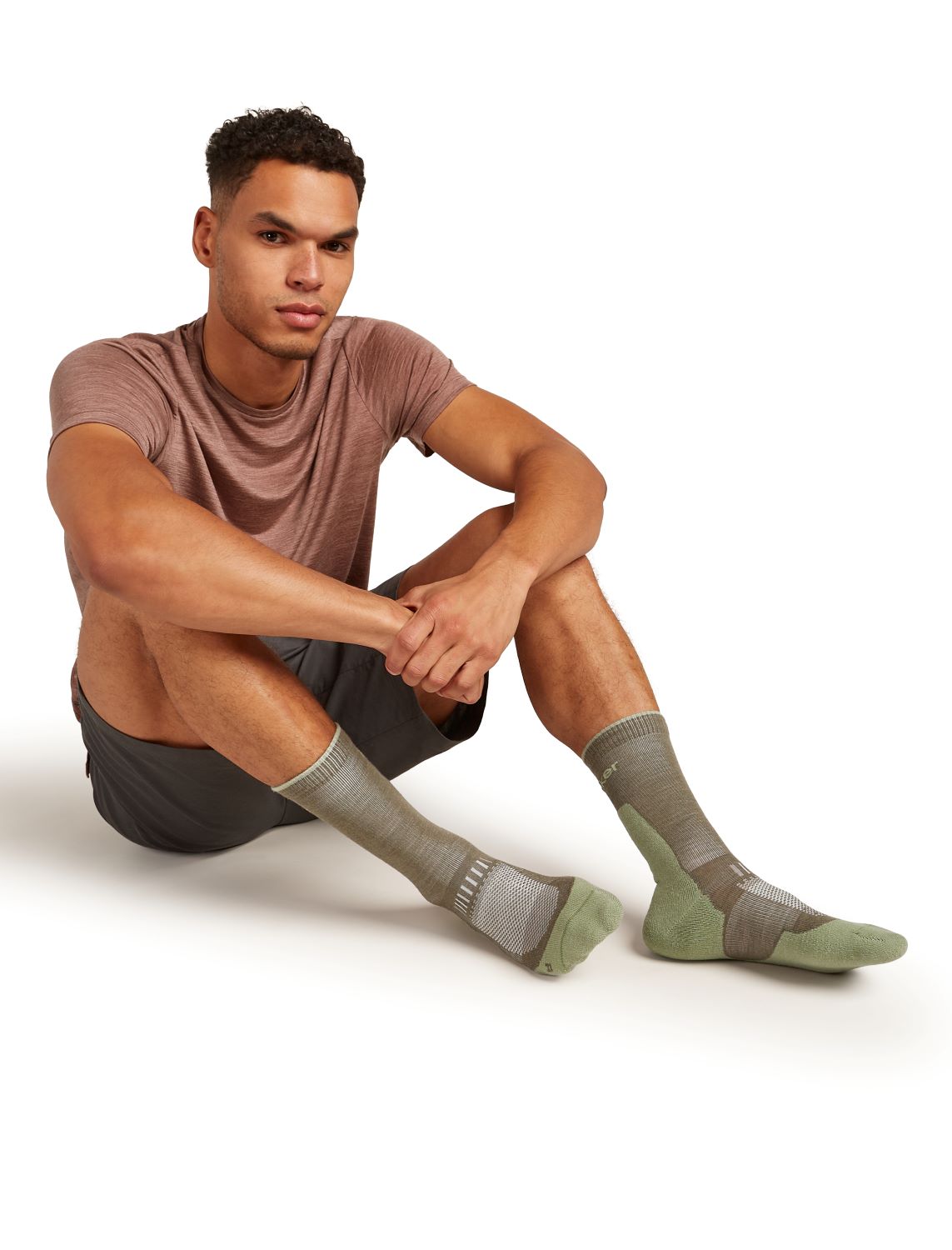 Zeķes Icebreaker Merino Hike+ Light Crew vīriešu