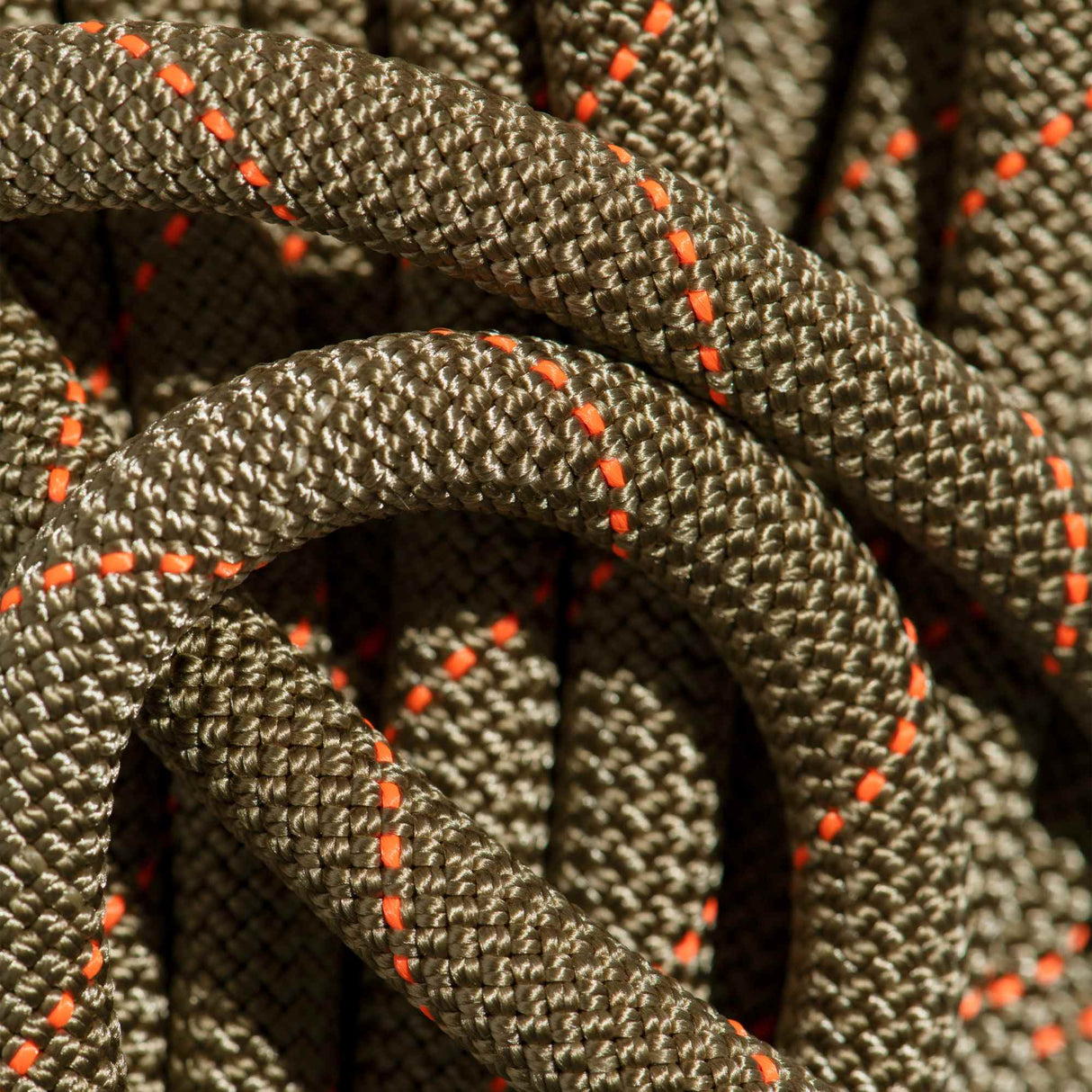 Mammut Gym Workhorse Classic 9.9 mm dinamiskā virve