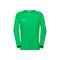 Sports shirt Mammut Aenergy FL ​​LS Men's
