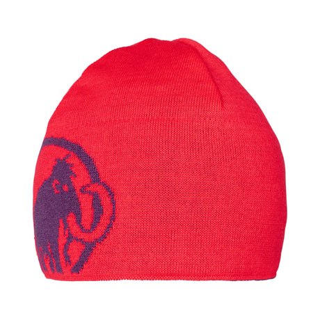 Mammut Logo Beanie