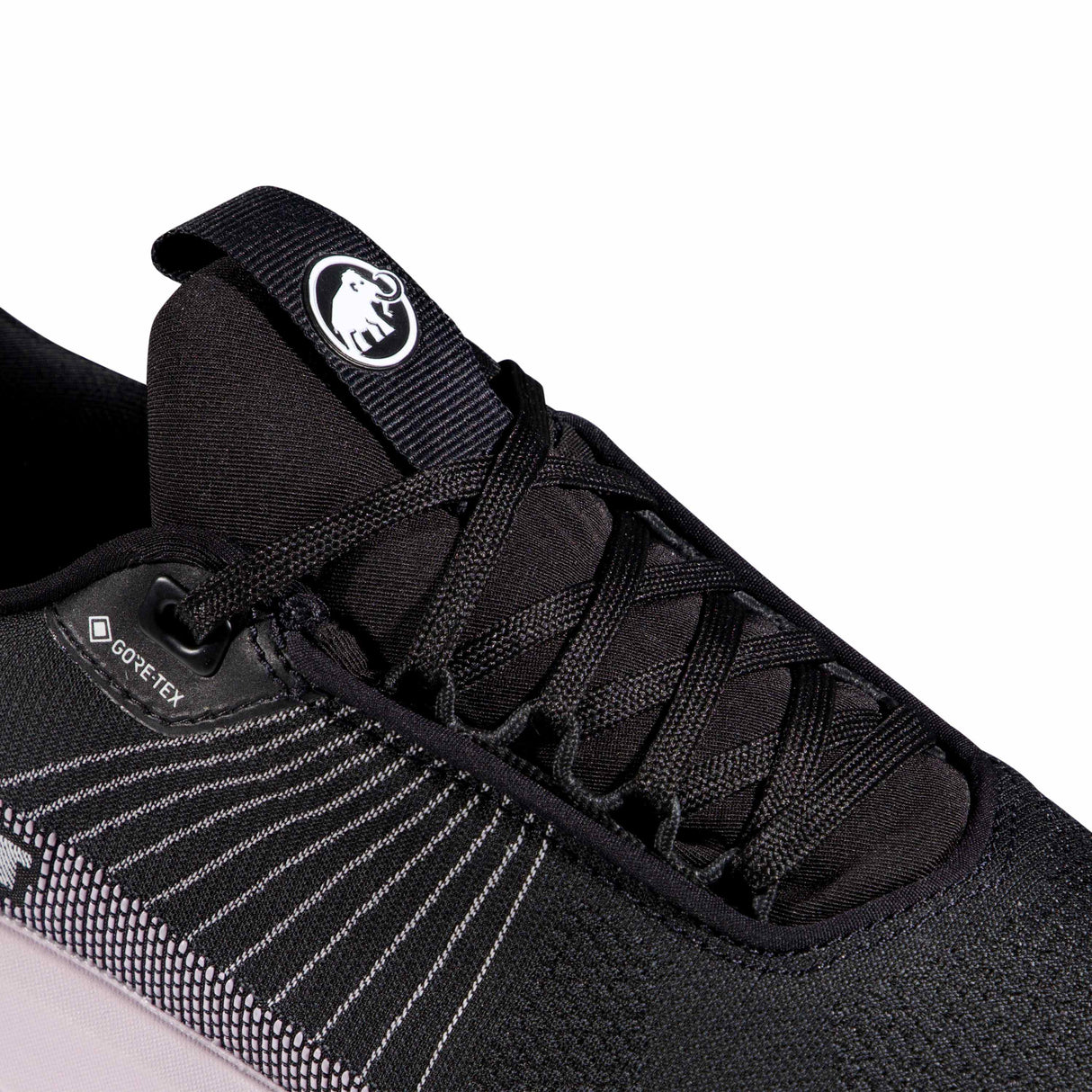 Mammut shoes Aenergy Mtn Low Gore-Tex women's