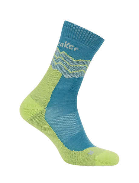 Men's Icebreaker Hike+ Medium Crew Merino Socks