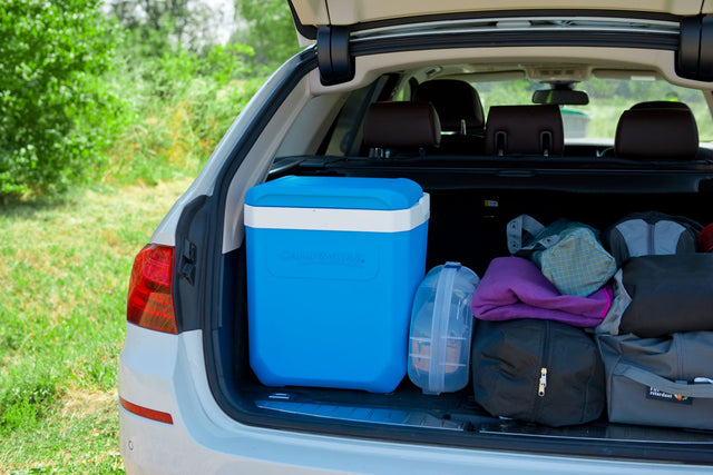 Cooler  Campingaz Icetime Plus 26 L