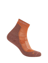 Zeķes Icebreaker Hike+ Light Mini Merino vīriešu