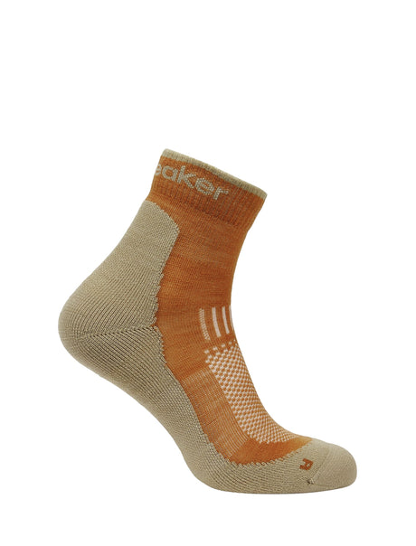 Icebreaker Hike+ Light Mini Merino Men's Socks