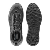 LOWA Fortux GTX shoes