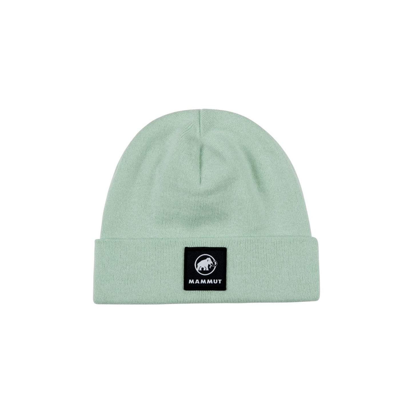 Cepure Mammut Fedoz Beanie Neo mint