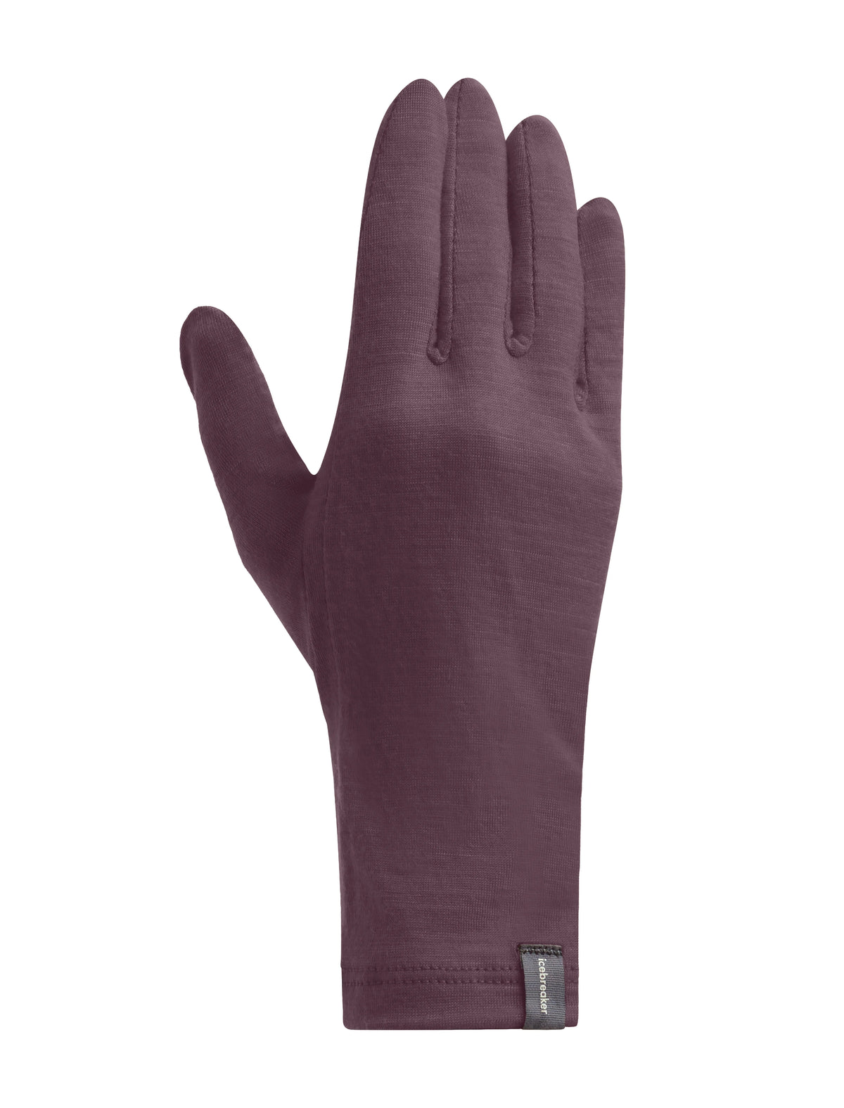 Gloves Icebreaker Merino 200 Liner Glove