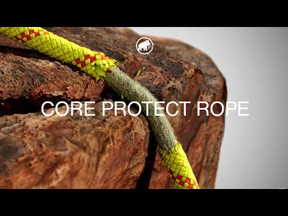 Rope mammut 8.0 Alpine Core Protect Dry Rope