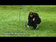 Coleman Fastpitch Onepush Shelter M